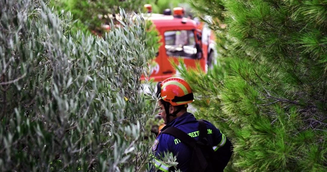 Συγκινητικές εικόνες: Φαγητό και νερό προσέφεραν οι πρόσκοποι στους πυροσβέστες στην Εύβοια (εικόνες)